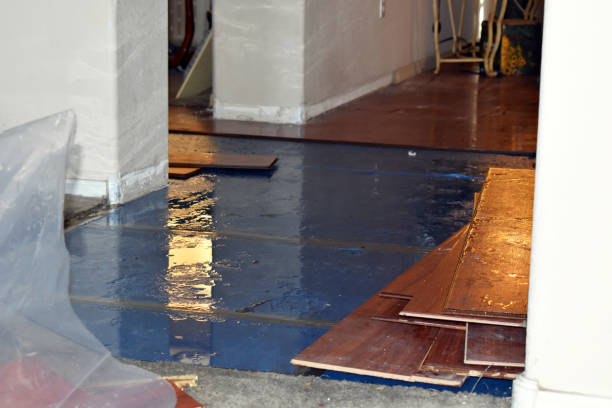 Professional Water Extraction technician working in Leon, IA